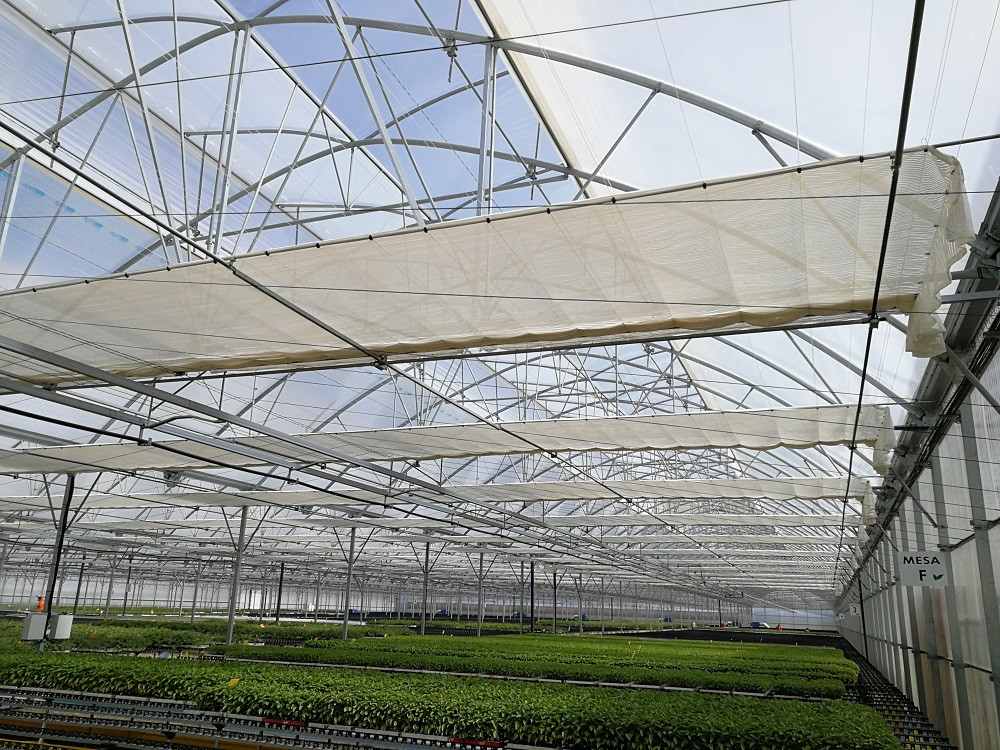 Opportunities with screen installations in foil greenhouses?