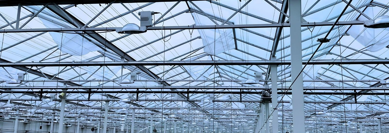 Thanet Earth implementeert 3.000 SchermNed insectengaas filters in bestaande kas