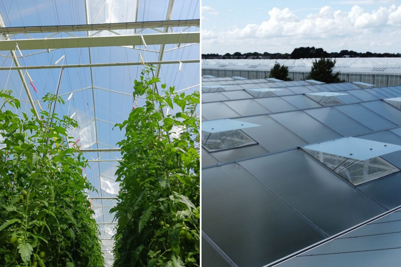 Tomatentelers houden goed kasklimaat binnen én insecten buiten dankzij insectengaas filter