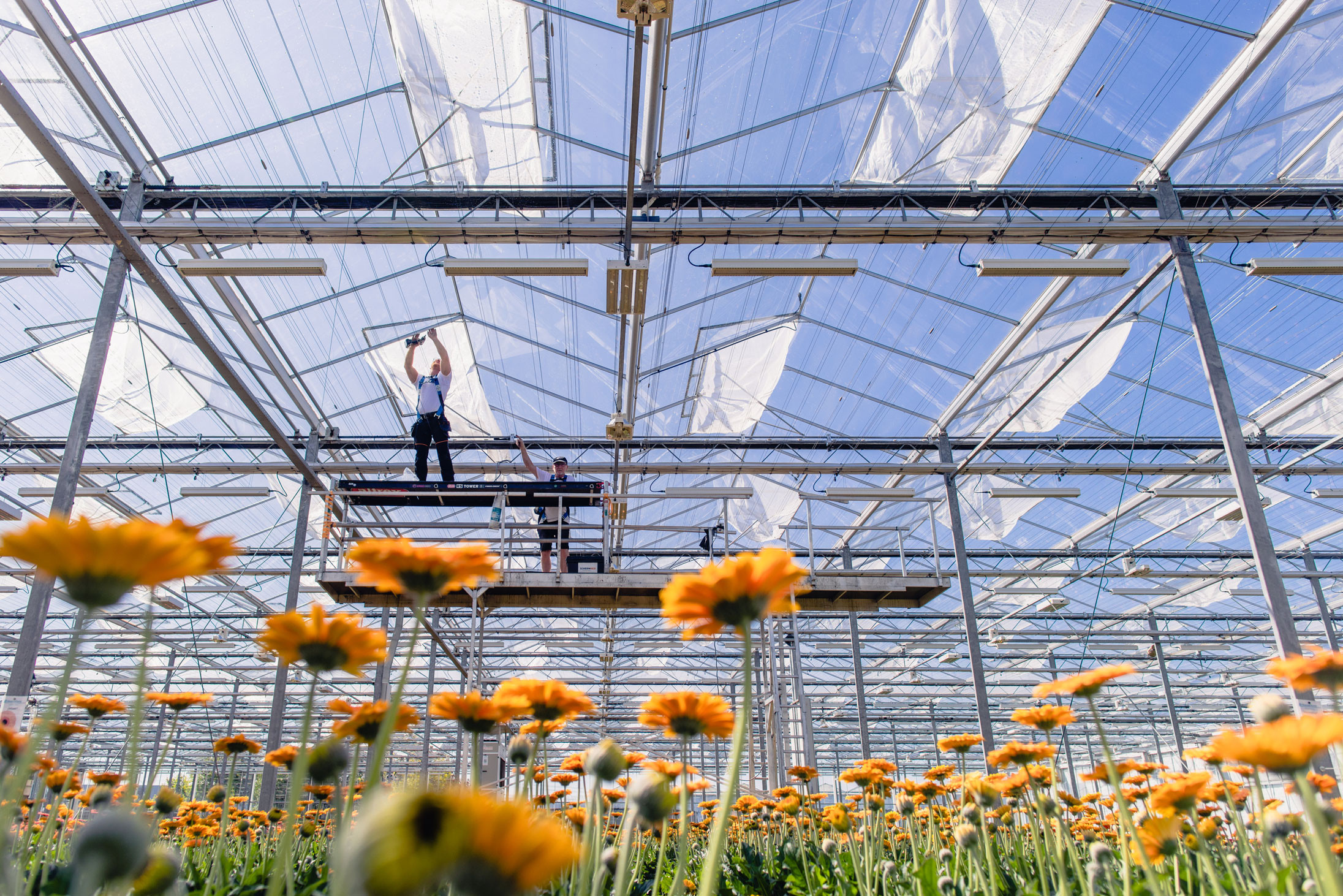 UV stability of insect netting increases further due to global demand