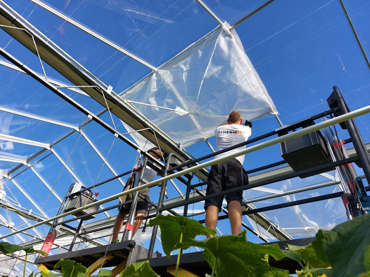 Insect netting filter continues to amaze with new insights on climate making